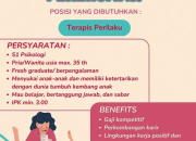 Lowongan Kerja Terapis Perilaku Pelita Anak Manado