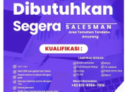 Lowongan Kerja Salesman Aice (PT Capungmerah Niaga) – Area Tomohon, Tondano, Amurang