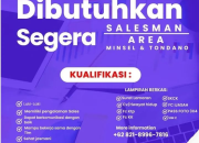 Lowongan Kerja Terbaru PT. Capungmerah Niaga (Official Partner Aice)