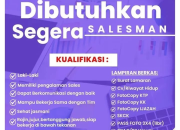 Lowongan Kerja Salesman PT Capung Merah Niaga (Aice Ice Cream) – Minahasa Utara