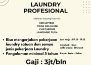 Lowongan Kerja Laundry Profesional di Citraland
