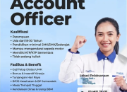 Lowongan Kerja BUMN PT PNM (MMI) Mei 2026: Posisi Account Officer untuk Lulusan SMA/SMK
