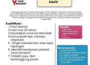 Lowongan Kerja PT Solusi Gatra Optima (Solusi GO!) Manado