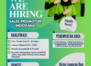 Lowongan Kerja Sales Promotor Indodana di Bermuda Communication (Area Sulawesi Utara)