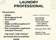 Lowongan Kerja Laundry Professional di Citraland