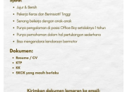 Lowongan Kerja Office Boy di Shine Montessori School Manado