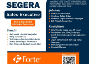 Lowongan Kerja Sales Executive di FORTE Manado Terbaru 2026
