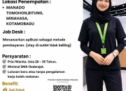 Lowongan Kerja Terbaru MyRobin.id Tahun 2026